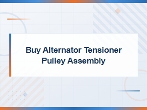 Buy Alternator Tensioner Pulley Assembly - Belt and Pulley Solutions