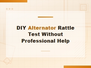 Diy Alternator Rattle Test Without Professional Help